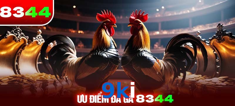 Thể loại đá gà 9ki được ưa chuộng 