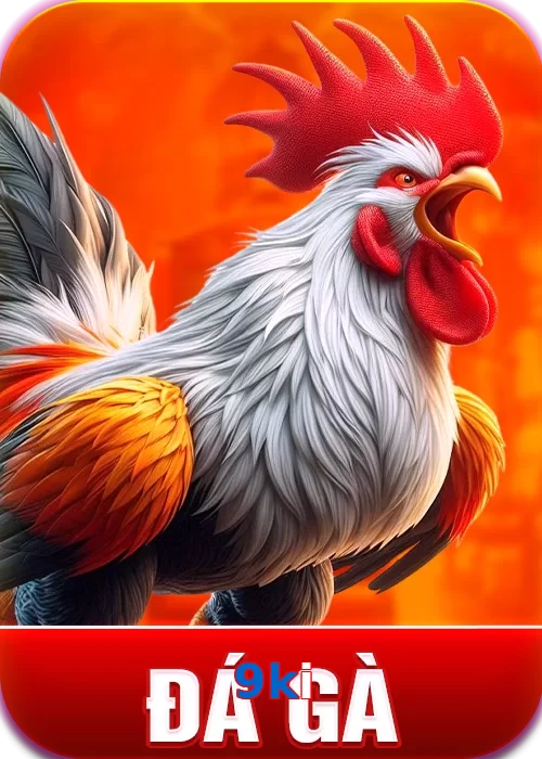 đá gà